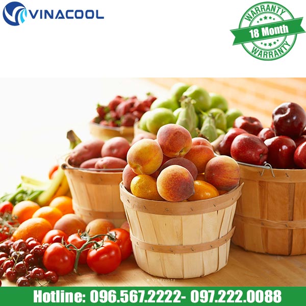 tủ bảo quản hoa quả Vinacool