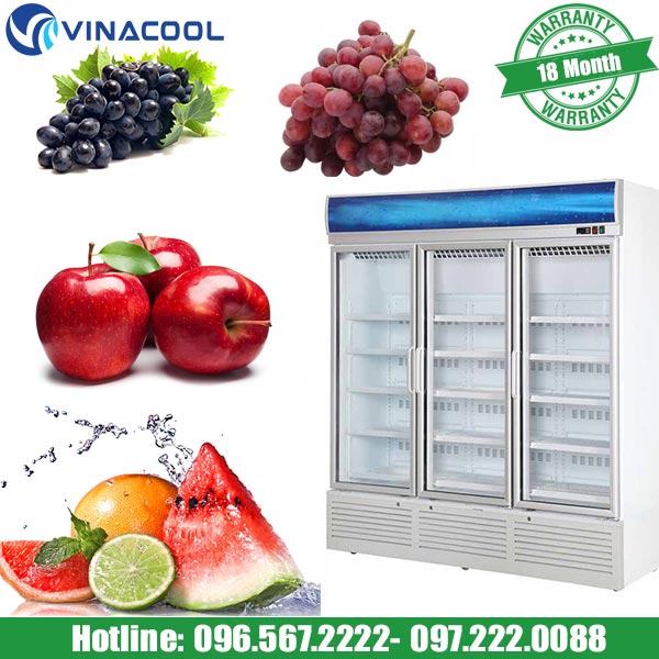 tủ bảo quản trái cây Vinacool