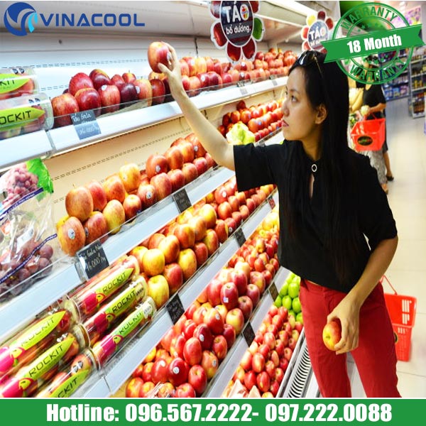 tủ bảo quản hoa quả nhập khẩu Vinacool